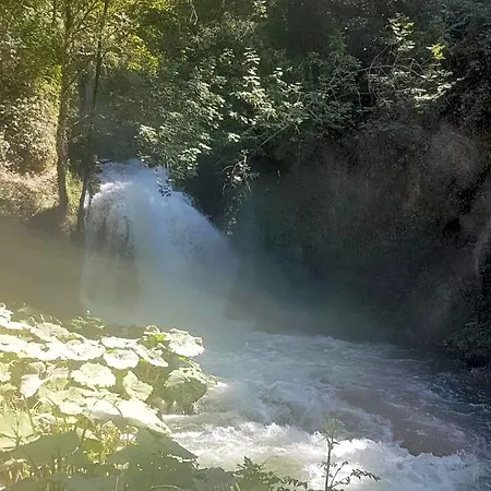 Via Benamati