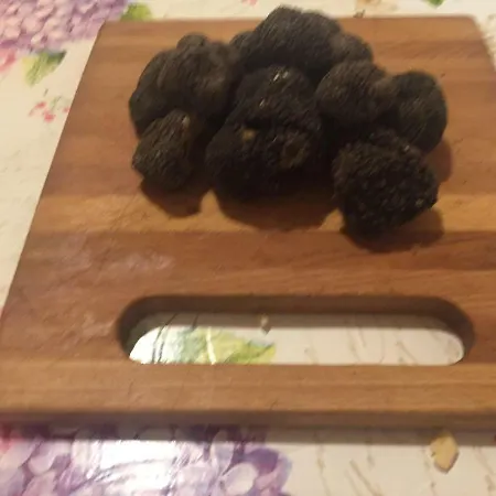 Via Benamati Alojamento de Acomodação e Pequeno-almoço Cagli